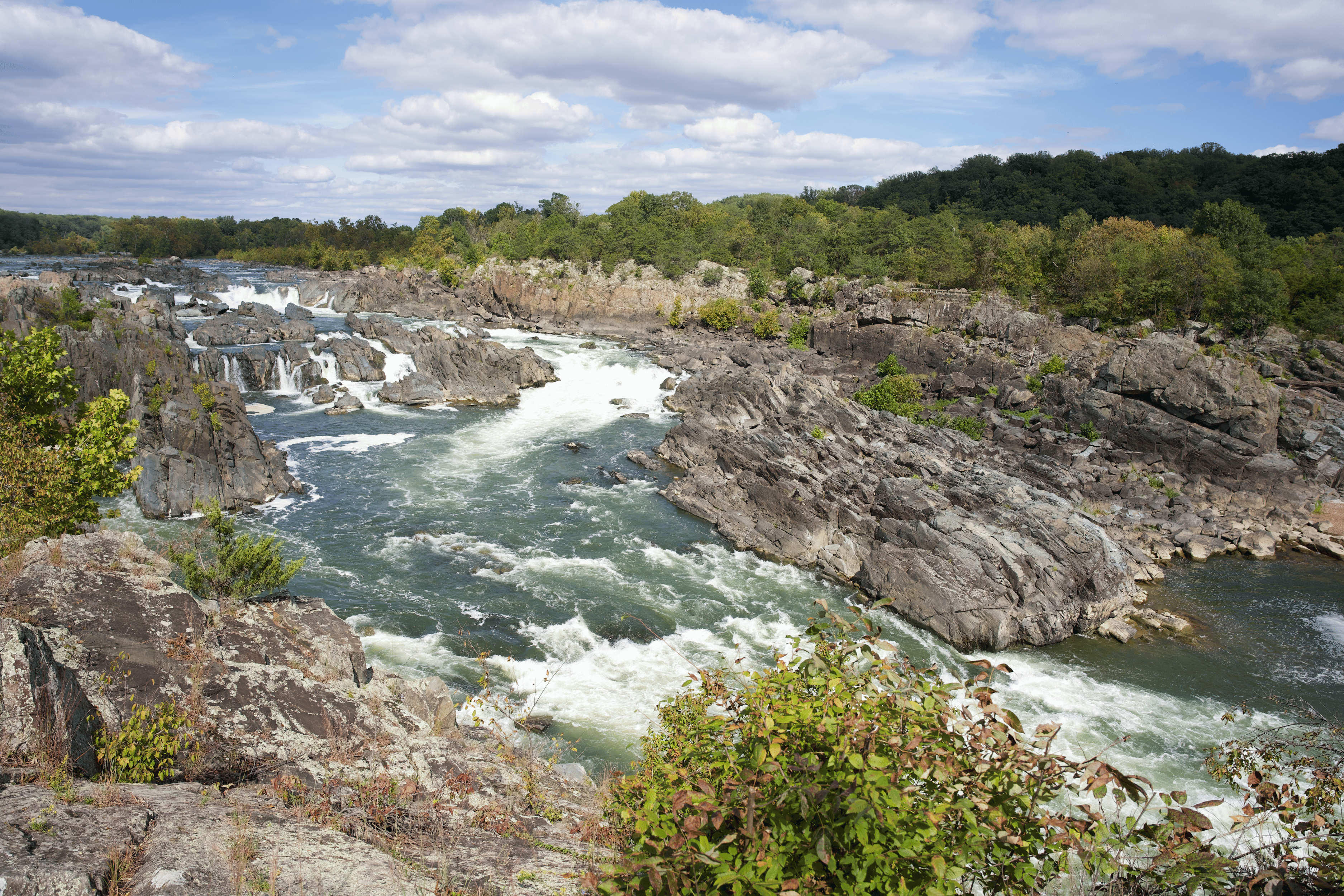 McLean, VA Neighborhood Guide: Parks, Food & Fun Facts